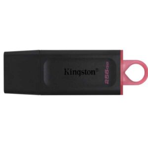 Kingston 256GB USB3.2 Gen1 DTX