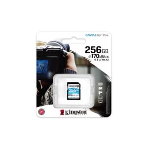 Kingston SD 256GB CanvasGoPlus