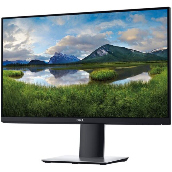S13703-1172 Dell P2421 24" IPS WUXGA korišten